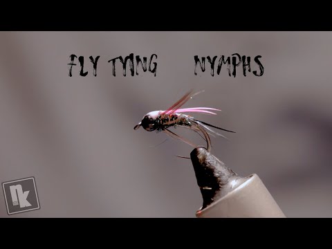 PRINCE VARIANT | Perhonsidonta