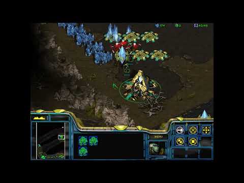 Protoss Zealots Swarm