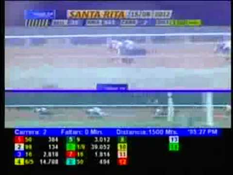 2DA CARRERA MIERCOLES 15 AGOSTO SANTA RITA AUDIOHIPISMO
