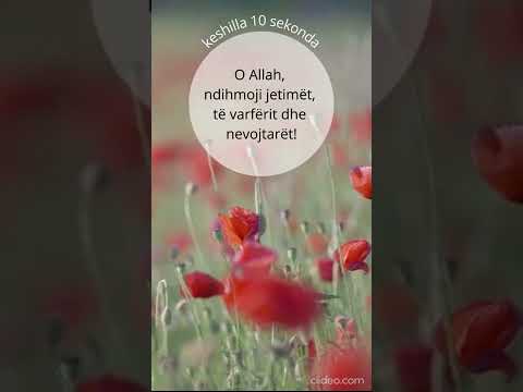 Lutje te ndryshme 31