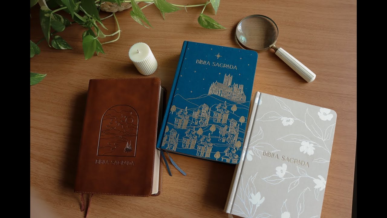 Bíblia de Anotações - The Purpose Book