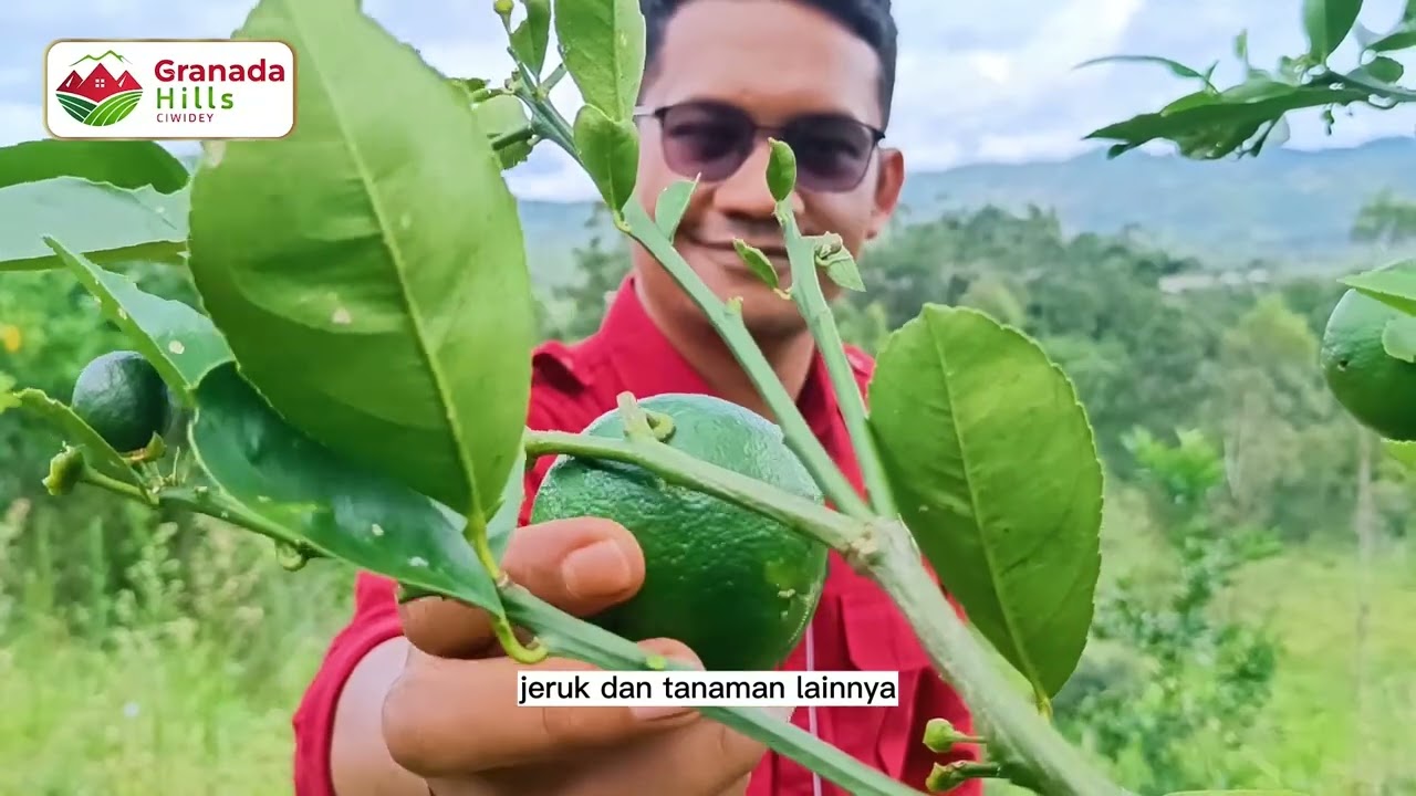 Granada Hills Ciwidey adalah pilihan yang sempurna untuk Anda yang mencari kenyamanan thumbnail