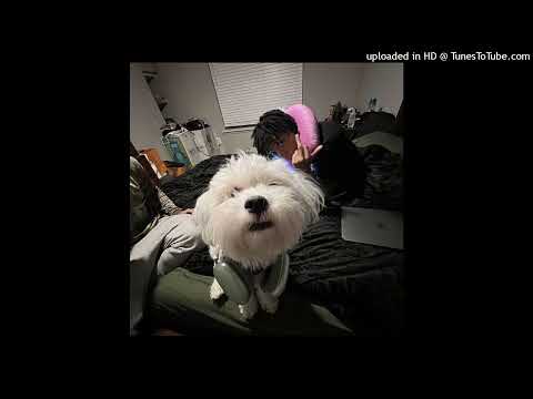 [free] lil shine x autumn! x summrs x pluggnb type beat (prod. ye11ow x vazilstu)