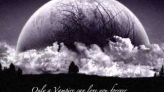 Sparks The Rescue -  We Love Like Vampires