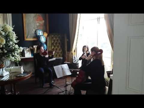 Simply Strings at Hodsock Priory