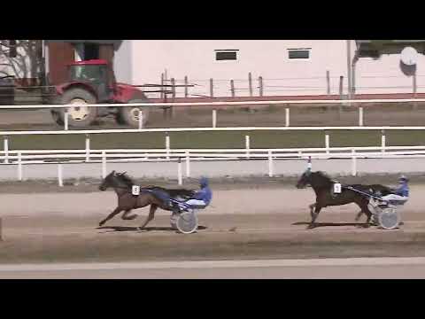 2023.02.25. 04. futam - PAÁL LÁSZLÓ EMLÉKVERSENY HENDIKEP