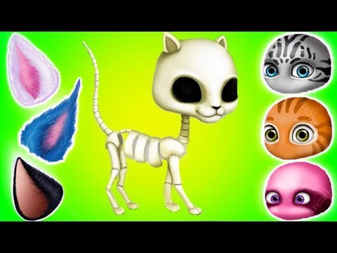 Cat Hair Salon Birthday Party - Play Fun Pet Kitten Care & Hair Salon Makeover Games For Girls