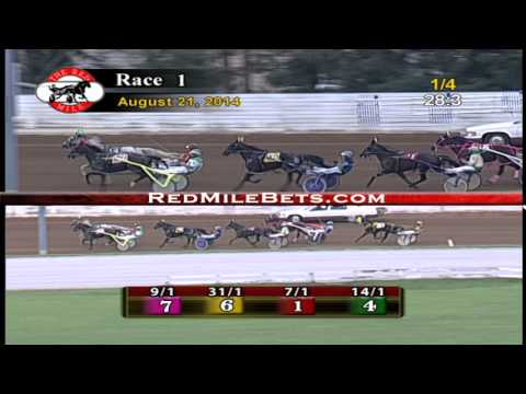 Red Mile Racetrack Race 1 08-21-14
