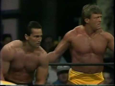 Leroy Howard and David Walby vs. Pretty Wonderful (08 13 1994 WCW Worldwide)