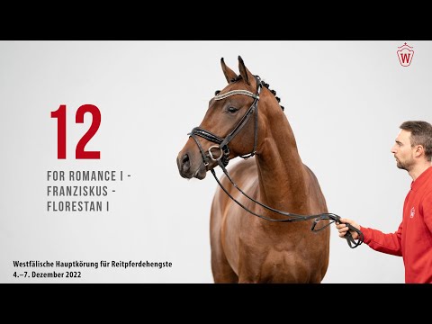 Westfälische Hauptkörung 2022 Reitpferde: Kat.Nr. 12 For Romance I  -  Franziskus  -  Florestan I