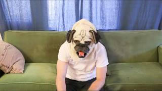 Flat Worms - Pearl (Official)