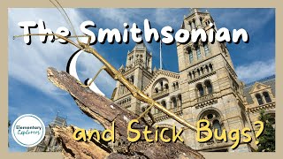Fun in Washington DC with Kids - A Day at the Smithsonian National Museum of Natural History