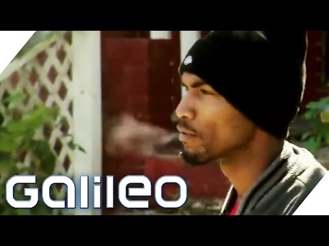 Gangs worldwide | Galileo | ProSieben