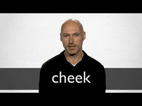 Cheek Definition And Meaning Collins English Dictionary