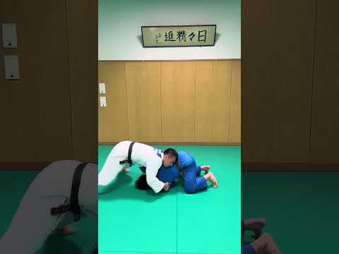 サイドネルソンからの崩上四方固