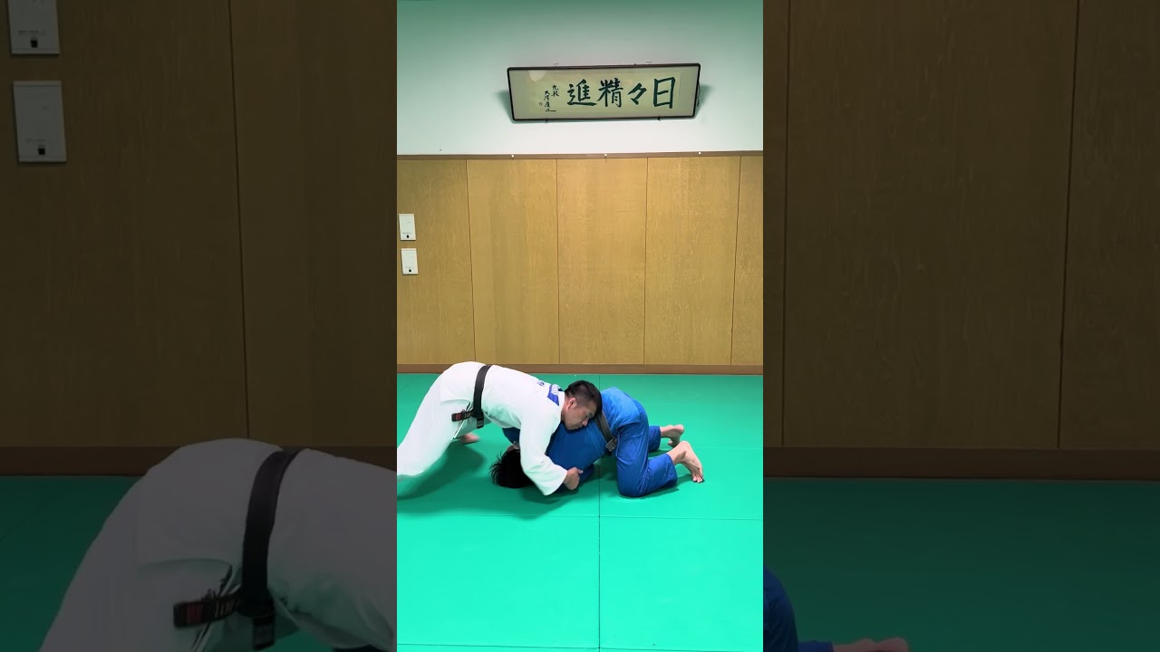 サイドネルソンからの崩上四方固