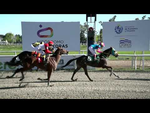 211001 c07 - TEETH WATCH - HIPODROMO LAS PIEDRAS