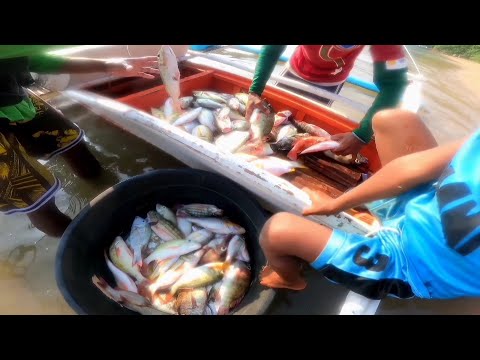 Ang Daming KATAMBAK Sa Harap Lang Ng Isla | Kitang D'Sisid