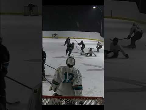 Crystal Vs Silver #29