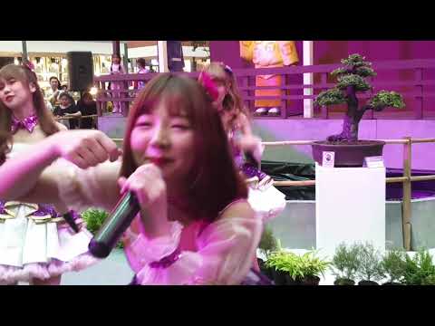 FMA Parfait - Your Butterfly MD Focus