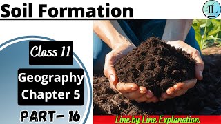 Soil Formation | Geomorphic Processes | Class 11 Geography Chapter 5 NCERT UPSC @internet_learning