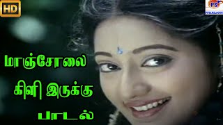 மாஞ்சோலை கிளி இருக