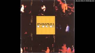 Minimal Compact  - Piece of Green