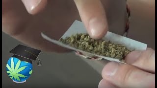How To Roll A Joint (Step By Step Visual)