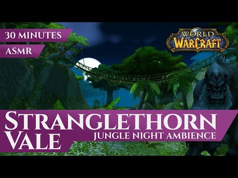 Stranglethorn Vale - Jungle Night Ambience (30 minutes, ASMR, 4K, World of Warcraft Vanilla)