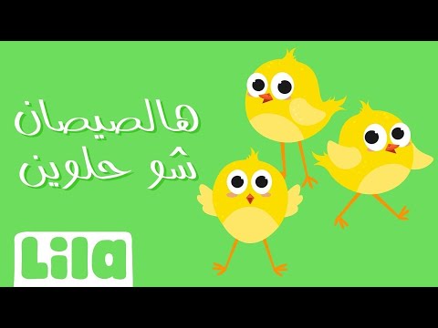 Hal Sisan Shou 7elwin (Little Chicks) 🐥 Lila TV