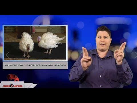 Turkeys ‘Peas’ and ‘Carrots’ up for presidential election (ASL - 11.19.18)