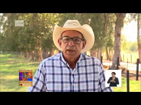 Grupo Flora y Fauna exhibe primeros resultados de proyecto para recuperar ganadería vacuna en Cuba