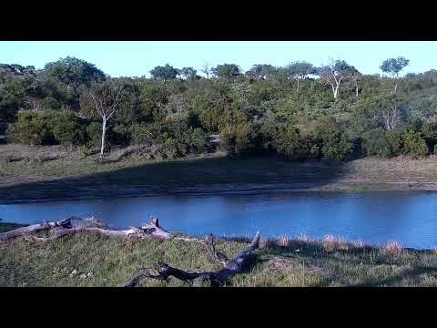 Djuma: Impalas, Waterbucks, Baboons and Nyala - 17:32 - 12/01/2022