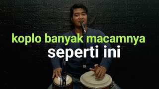 Download lagu Bermacam koplo DUT untuk pemula mp3