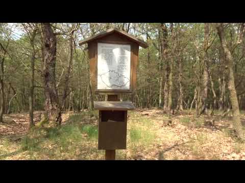 Magický vrch ĎÁBEL (398 m) - Geometrický střed Čech / Petrov u Prahy