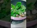 சளி குணமாக முசுமுசுக்கை கீரை சட்னி Musu 
