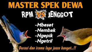 Download lagu Mewah banget!! MASTERAN RPM VS CUCAK JENGGOT Nembak panjang JERNIH mp3