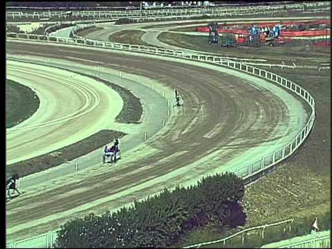 Trotto 17/09/2015 - 3° prova di qualifica