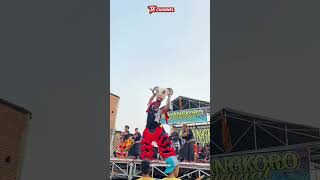 Download lagu Bantengan Suro Goyang Heboh Jaranan Mayangkoro Original #shorts #bantengan #mayangkorooriginal mp3 Download lagu Bantengan Suro Goyang Heboh Jaranan Mayangkoro Original #shorts #bantengan #mayangkorooriginal mp3