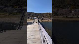 【山口旅2026年3月】【ショート】岩国の錦帯橋に行ってみた！【なみよし旅】