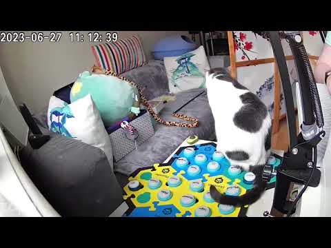 From a simple to a complex interactions