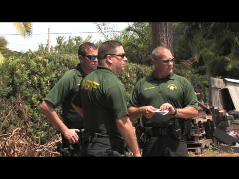 Sarasota County Sheriff Arrest
