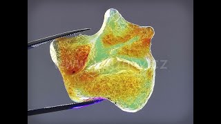 Okno do baltského jantaru PO-4