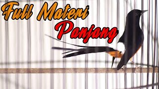 Download lagu MASTERAN MURAI BATU FULL TEMBAKAN PANJANG ISIAN KENARI CILILIN LOVEBIRD KAPAS TEMBAK 100% EMOSI mp3