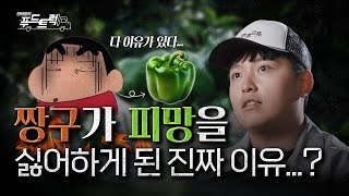 일본 아이들이 피망을 극도로 싫어하는 이유!?｜한태웅의 푸드트럭
