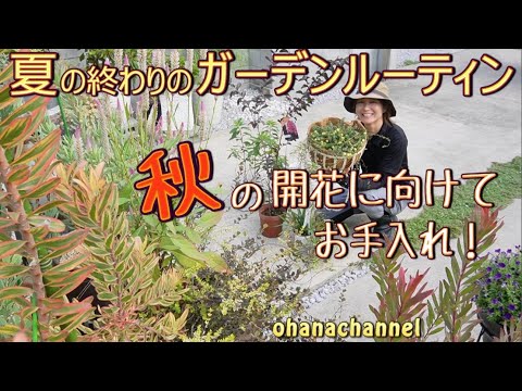 開花植物の保護:コテージガーデン用の花 トピックス