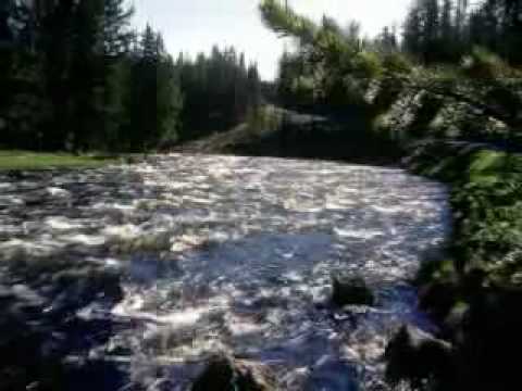 Dorin Silaghi - Asteptare.flv