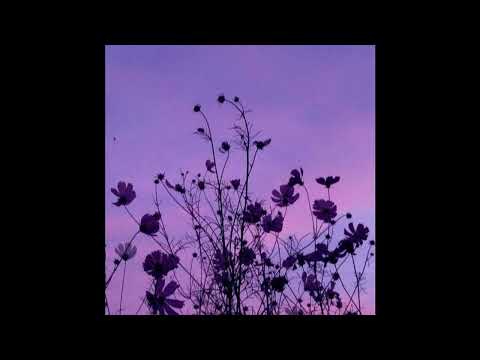 [FREE] Indie x Bedroom Pop x Dream Pop Type Beat | "Flower Fields"
