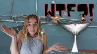 Whaling in Norway