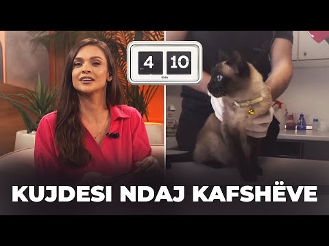 Kujdesi ndaj kafshëve shtëpiake